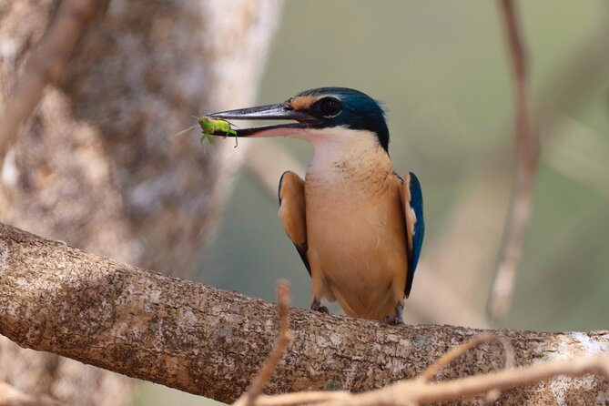 Darwin: Evening Tour to Fogg Dam Wetlands and Humpty Doo Hotel - Last Words