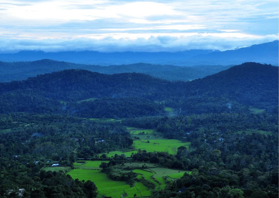 Day Trip to Tala Kaveri (Guided Tour by a Car From Coorg) - Common questions