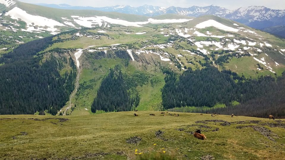 Denver: Rocky Mountain National Park Tour With Picnic Lunch - Common questions