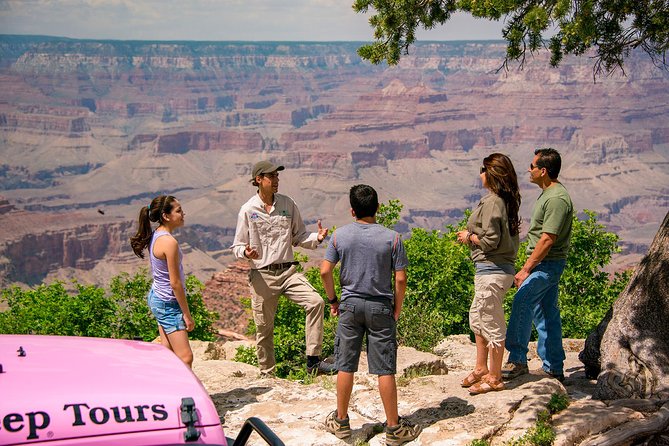 Desert View Grand Canyon Tour - Pink Jeep - Safety Concerns