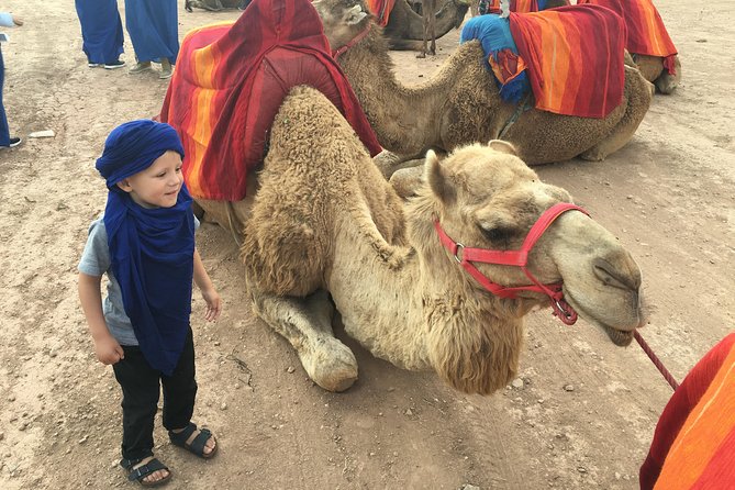 Dinner Show and Sunset Camel Riding Agafay Desert - Last Words