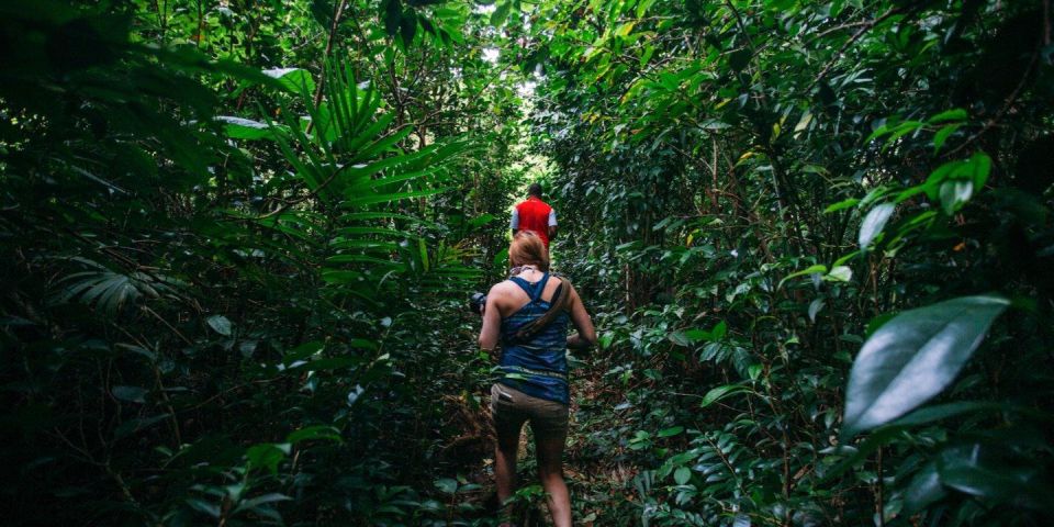 Dominica Hiking Adventures - Traveler Resources