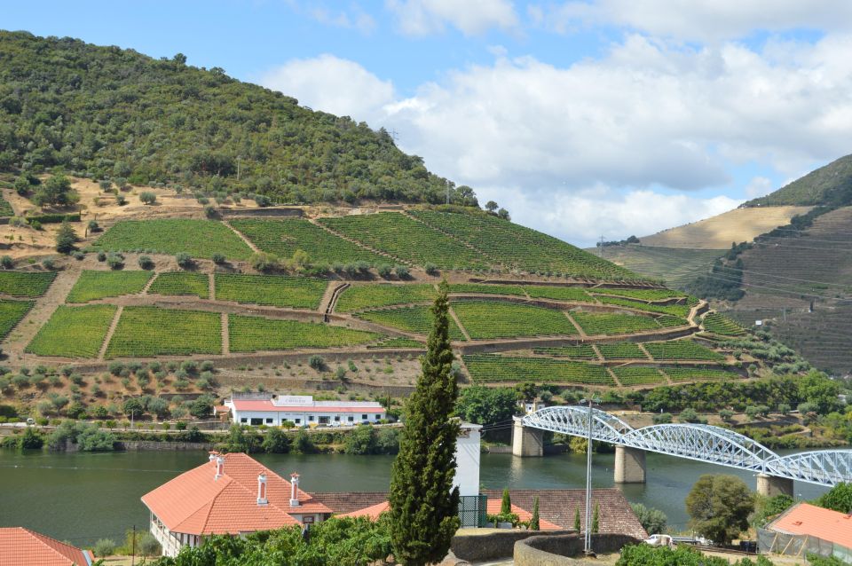 Douro Valley Private Tour From Braga: Lunch & Wine Tour - Wine Tasting Experience