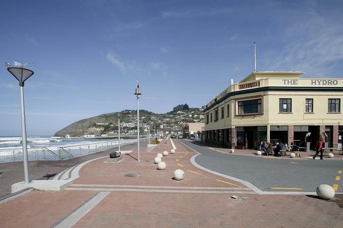 Dunedin City and Coastal Views 3-Hour Small-Group Guided Tour - Recommendations for Future Travelers