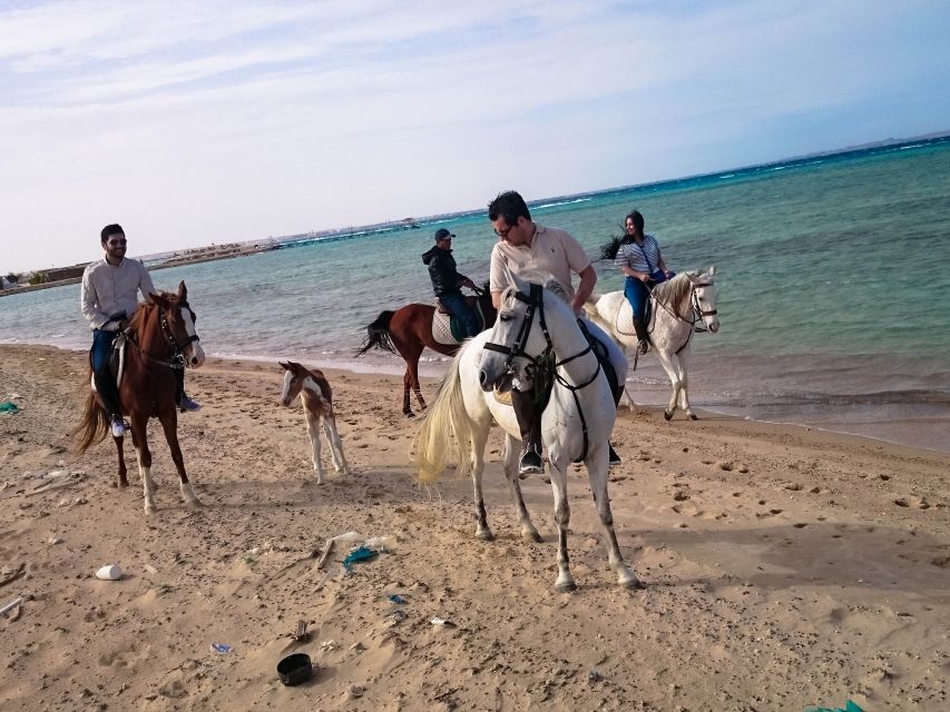 El Gouna: Desert & Sea Horse Riding With Swimming Optional - Common questions
