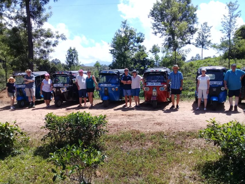 Ella: Tuk-Tuk Safari Day Trip and Tea Fields Hike With Lunch - Small Group Experience