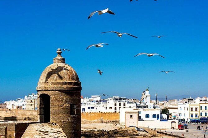 Essaouira Day Trip From Marrakech - Last Words