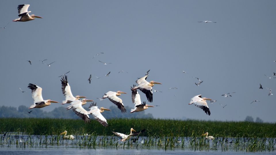 Explore Danube Delta and Black See in 2 Day Private Tour - Common questions