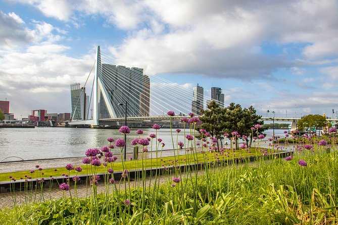 Explore the Instaworthy Spots of Rotterdam With a Local - Last Words