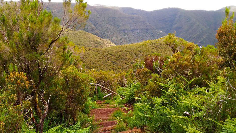 Fanal / Whistlers - Levada Walk - Packing Essentials