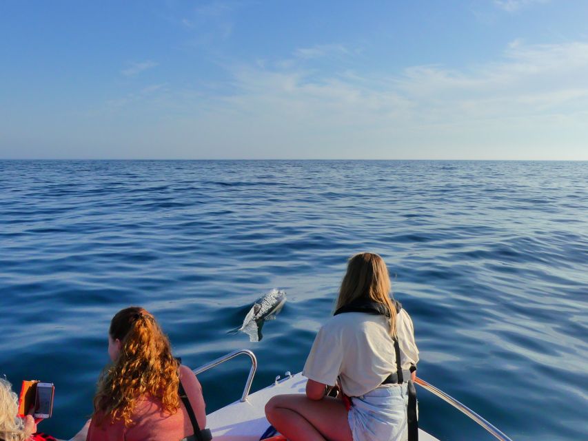 Faro: Dolphin and Wildlife Watching in the Atlantic Ocean - Safety Precautions