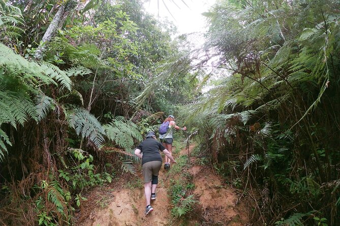 Fiji Private Hiking Tour (Mar ) - Traveler Experience and Reviews