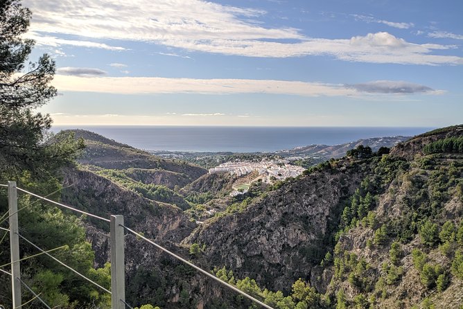 Frigiliana Small-Group Hike and Wine Tasting Tour From Malaga - Common questions