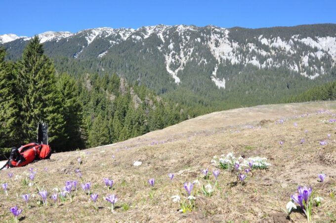 From Brasov: Piatra Craiului National Park 2-Day Guided Trek - Highlights: National Park Exploration