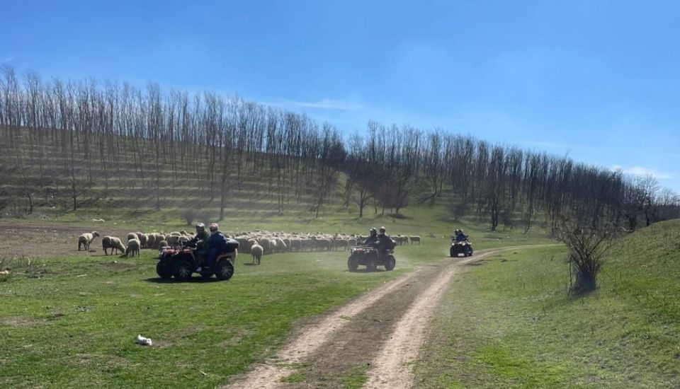 From Bucharest: Forest and Hills ATV Quad Bike Tour - What to Bring