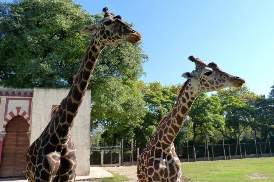 From Buenos Aires: Temaiken Zoo Tour With Ticket Included - Common questions