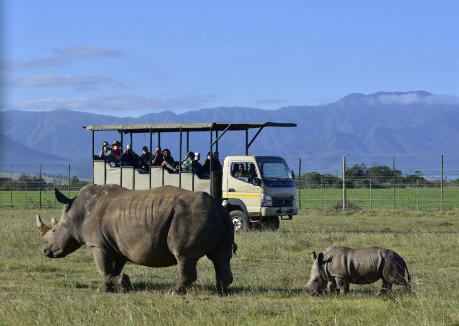 From Cape Town: 2-Day Wildlife and 4x4 Safari Experience - Last Words