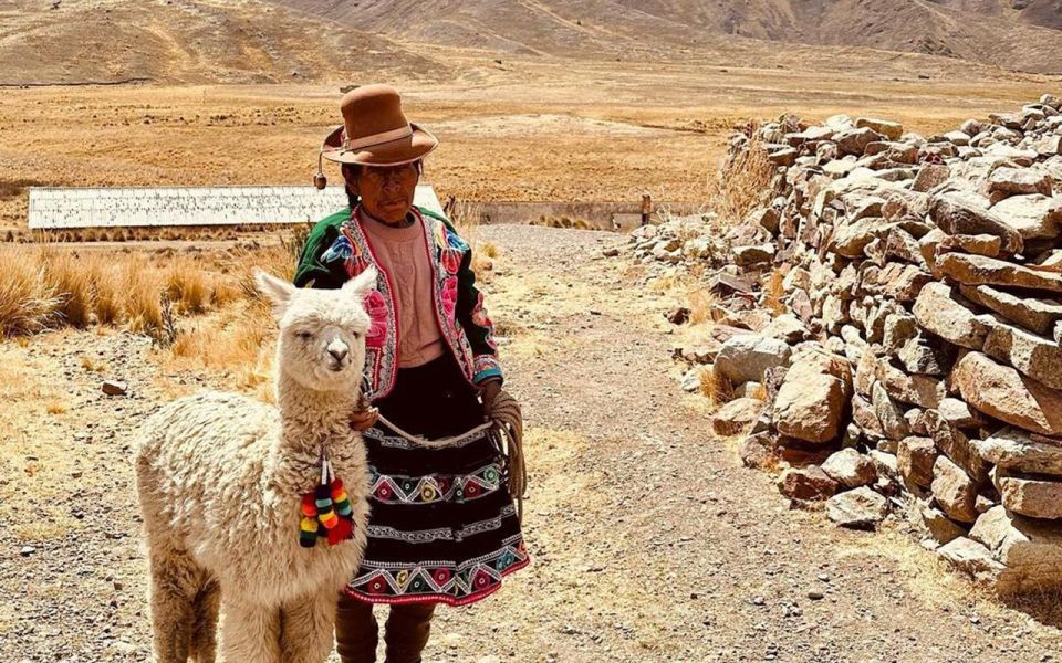 From Cusco: Titicaca Lake With the Route of the Sun in 2 Day - Last Words