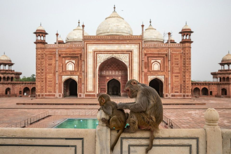 From Delhi: Private 3-Day Golden Triangle Tour With Lodging - Common questions