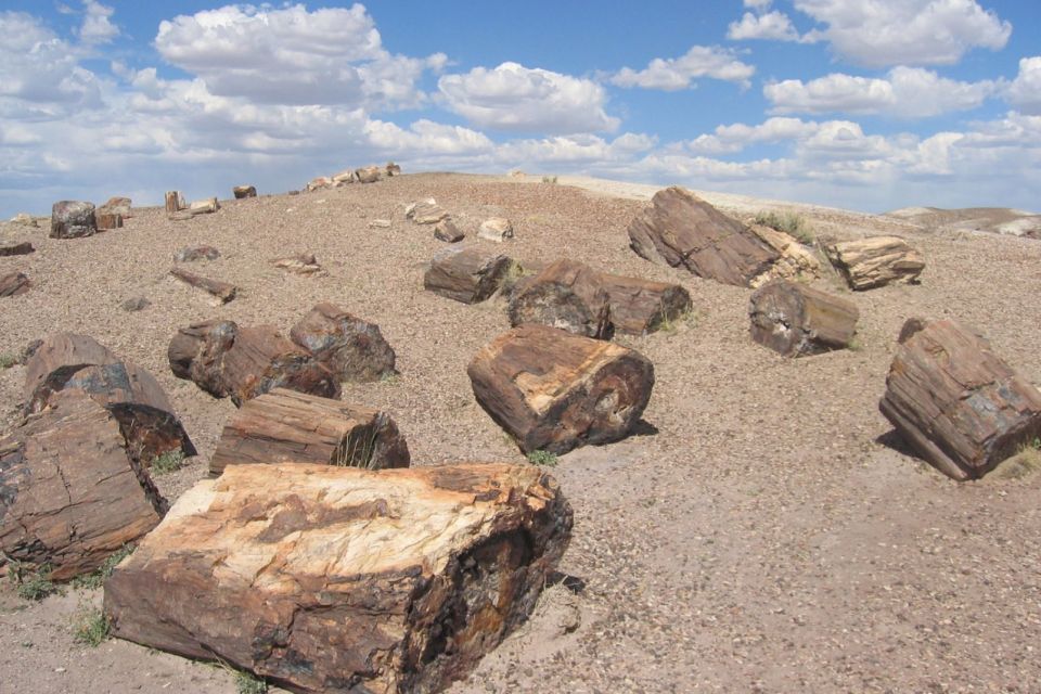 From El Calafate: La Leona Petrified Forest Day Trip - Common questions