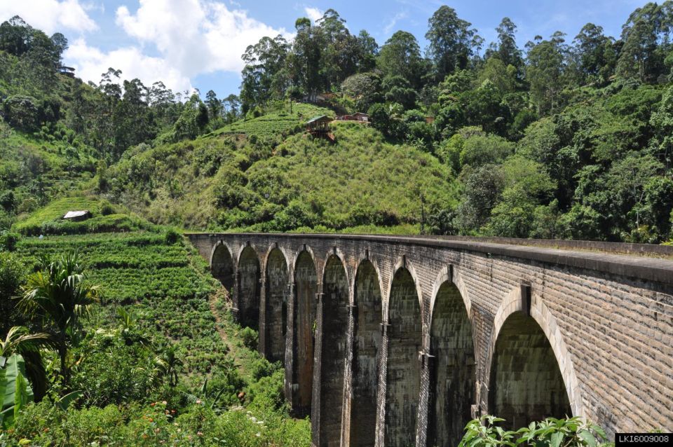 From Ella: Little Adam's Peak and Nine Arches Bridge Hiking - Customer Reviews and Recommendations