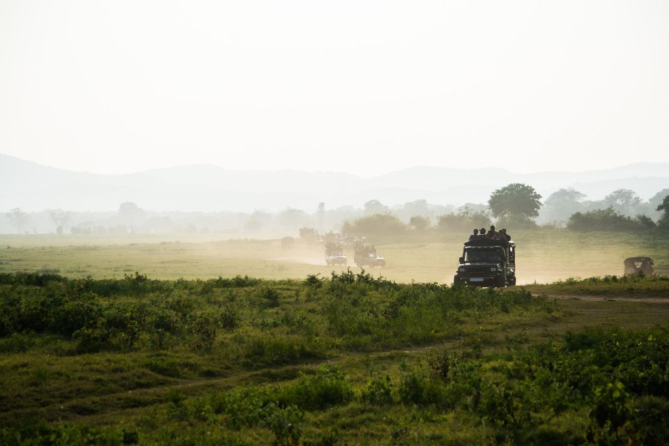 From Ella: Udawalawe Safari With Elephant Transit Home Visit - Safari Jeep Adventure