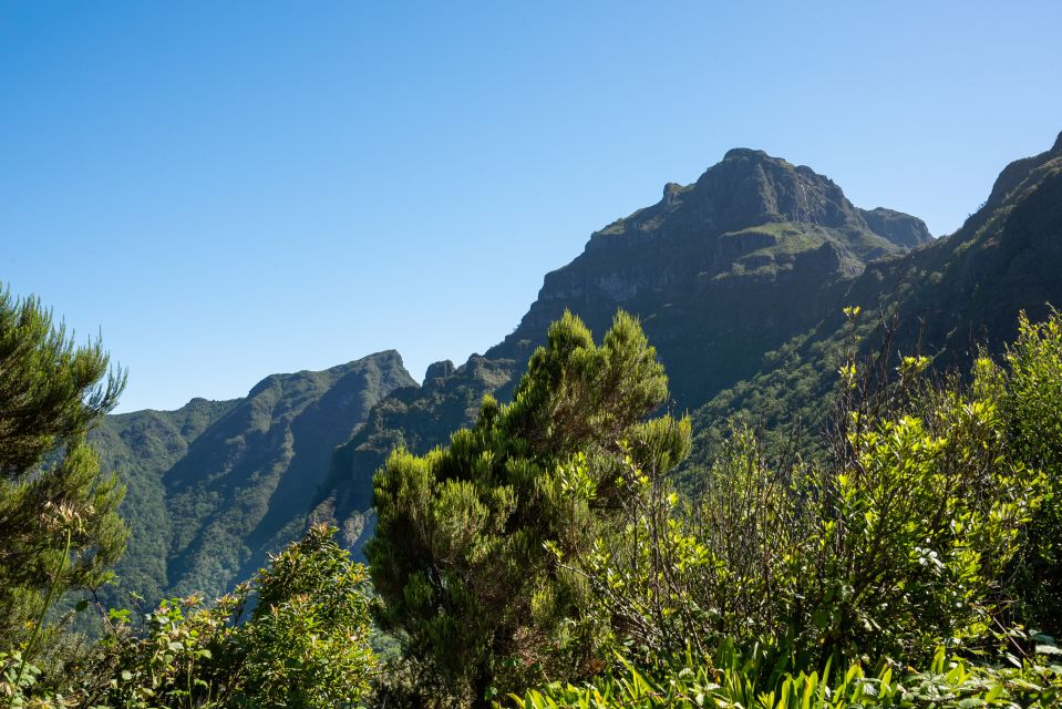 From Funchal: Best of Madeira's West Tour - Last Words