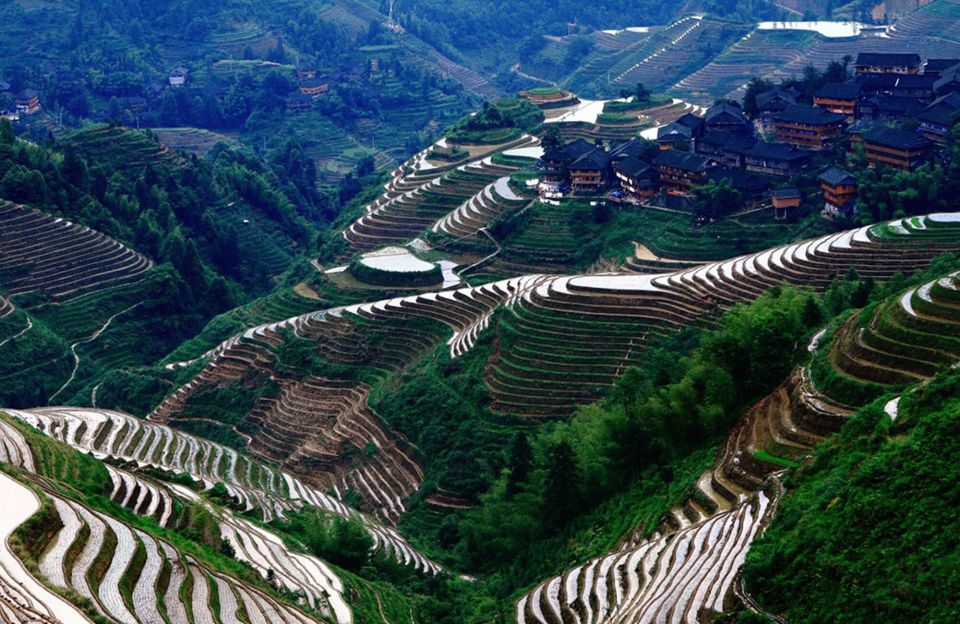 From Guilin: Longsheng Dragon's Backbone Rice Terraces - Common questions