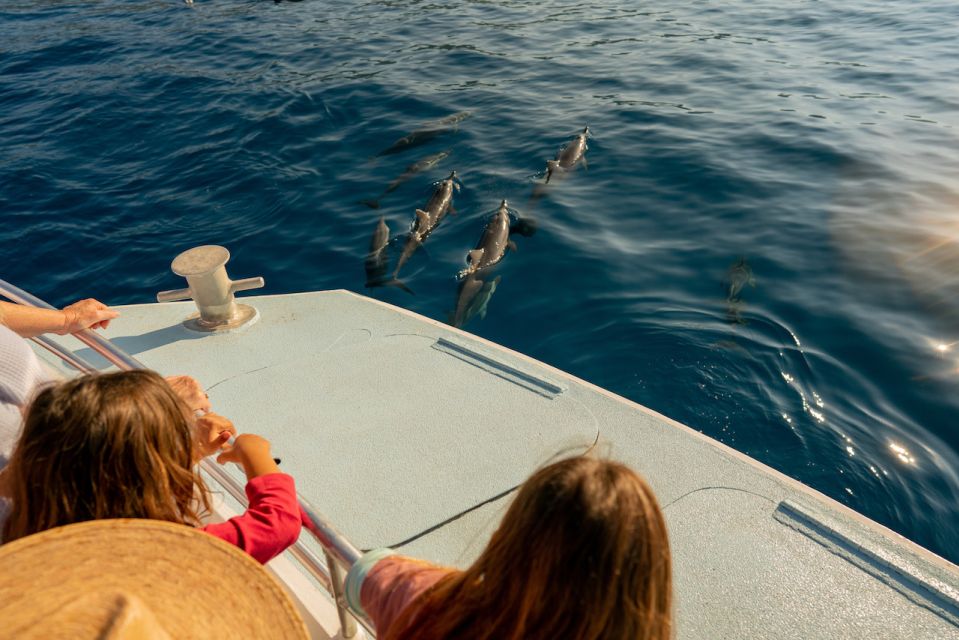 From Hawaii: Eco-Friendly Snorkeling Experience With BBQ - Location and Logistics