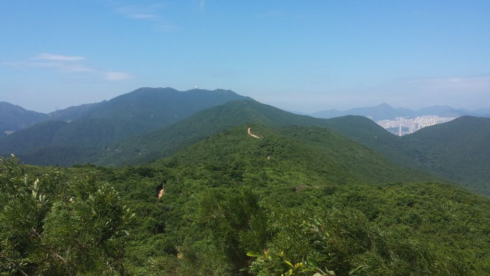 From Hong Kong City: The Dragon's Back Hiking Tour - Last Words