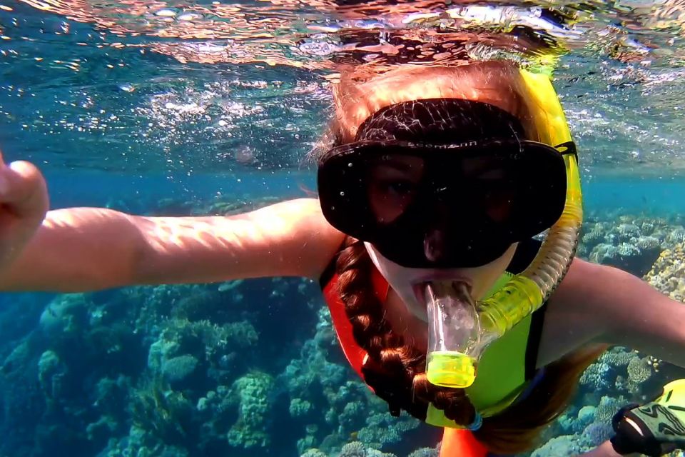From Hurghada: Sharm El Naga Full-Day Snorkeling Tour - Last Words