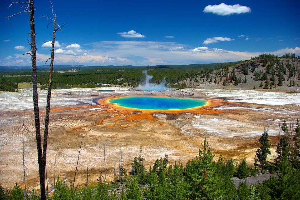 From Jackson: Yellowstone Day Tour Including Entrance Fee - Last Words and Tour Experience