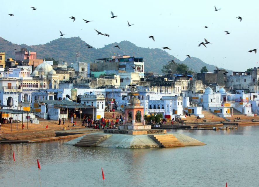 From Jaipur : 06 Days Jaipur, Pushkar, and Ranthambore Tour - Last Words