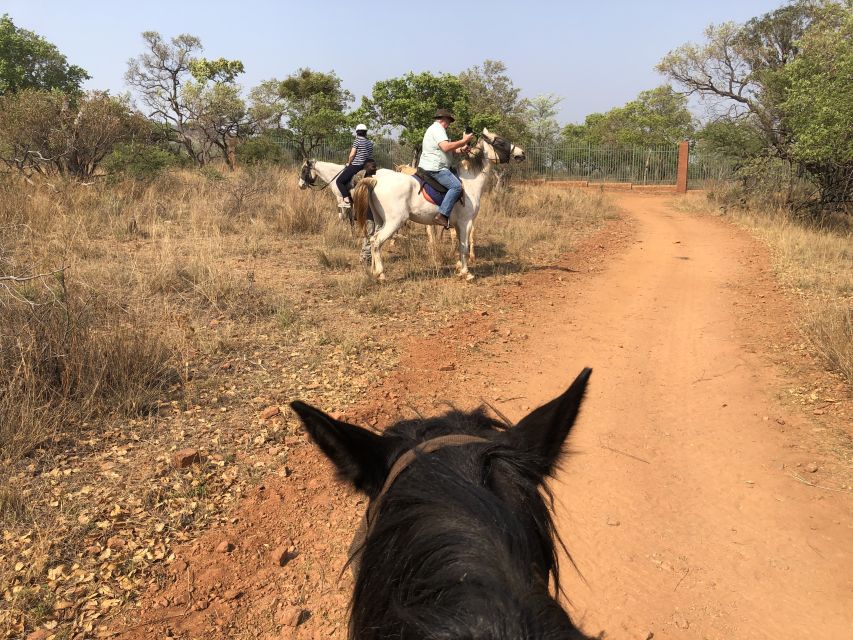 From Johannesburg: Horse-Riding Safari and Cable Car Tour - Last Words