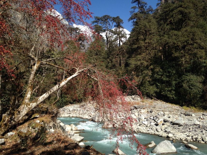 From Kathmandu: Short Langtang Valley Trek 6 Days - Last Words