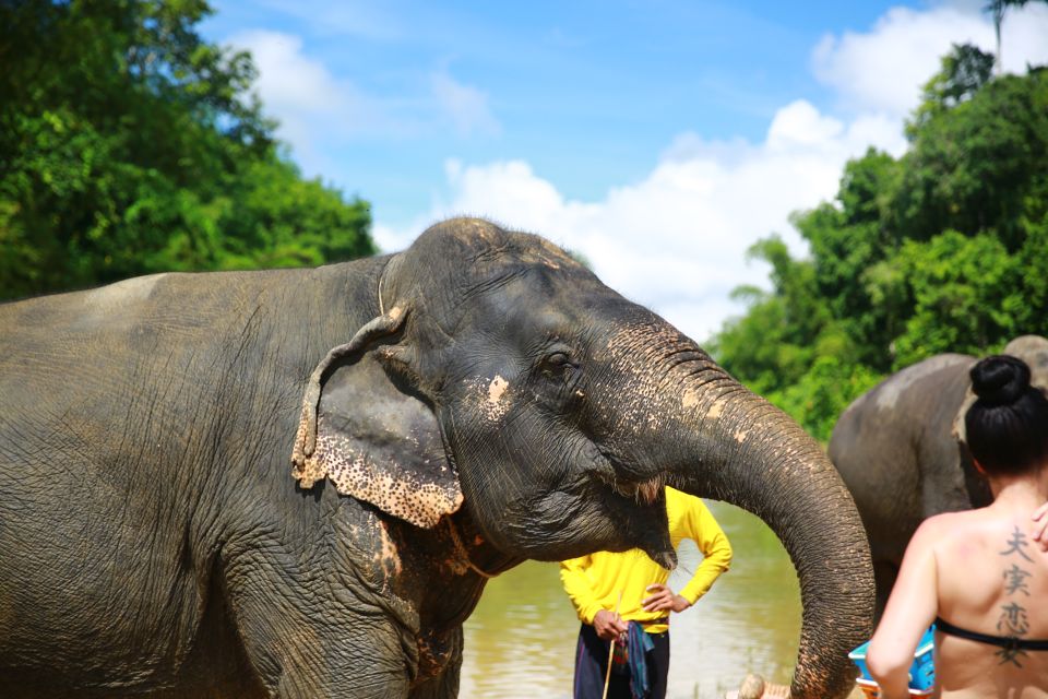 From Khao Lak: Day Trip to Khao Sok With Elephant Camp Visit - Last Words