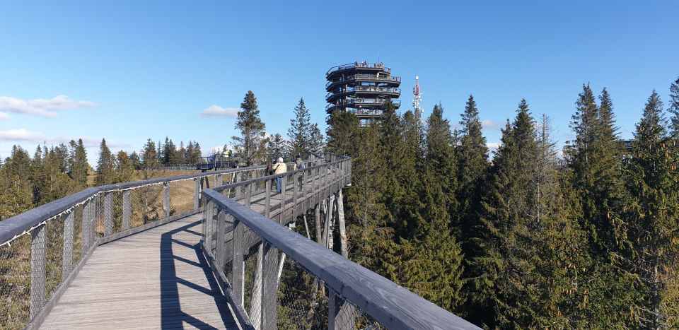 From Krakow: Tour to Slovakia Treetop Walk and Thermal Baths - Last Words