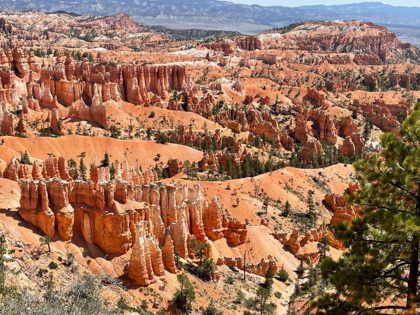 From Las Vegas: Bryce Canyon & Zion National Park Day Trip - Last Words