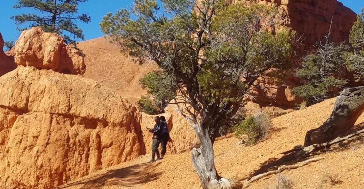 From Las Vegas: Zion and Bryce Canyon Guided Day Tour - Common questions