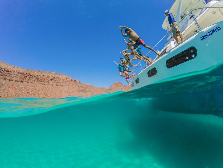 From Los Cabos: La Paz Snorkel and Sea Lion Adventure - Common questions