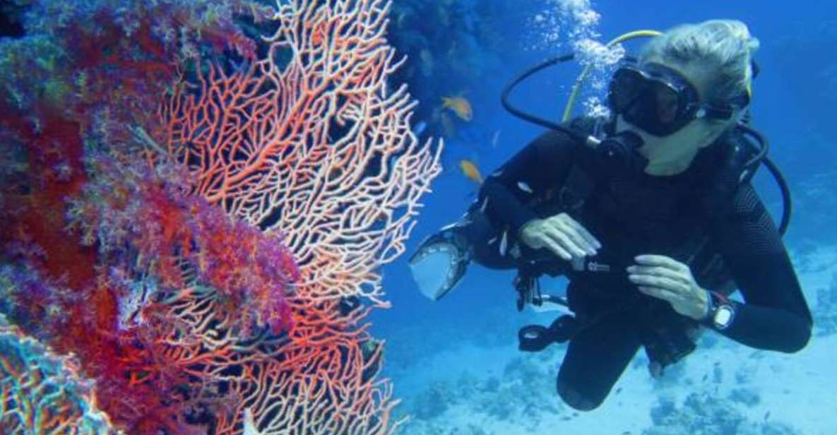 From Marsa Alam: Beginners Scuba Diving Day-Trip With Lunch - Last Words