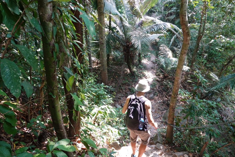 From Pattaya: Private Rayong Adventure Hike and Kayak Trip - Last Words