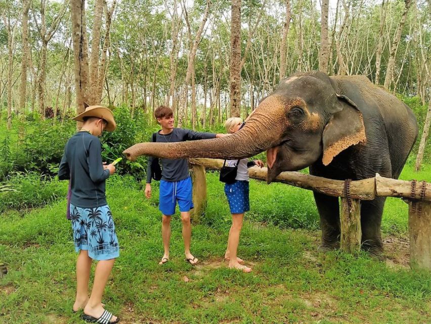From Phuket: Elephant & Sea Turtle Conservation Private Tour - Common questions