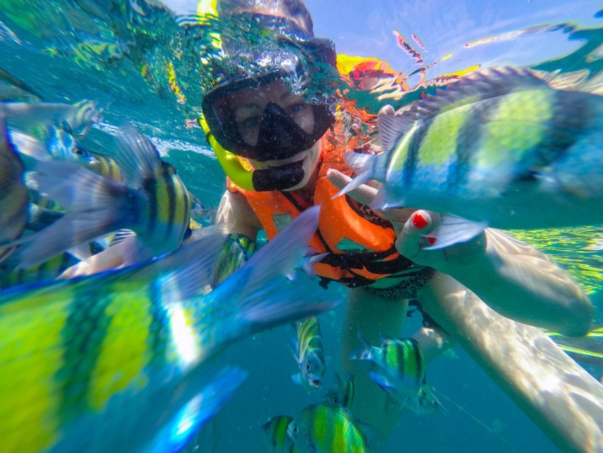 From Phuket: Phi Phi and Maya Bay Snorkeling by Speedboat - Last Words