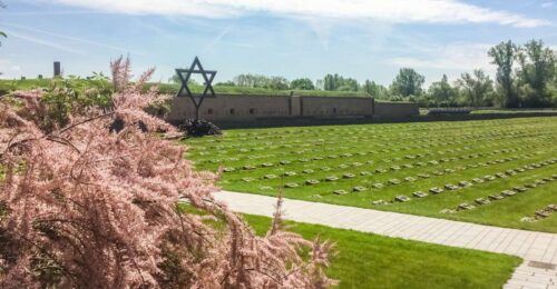 From Prague: Tour of Terezin Concentration Camp - Guide, Transportation, Service, and Organization Ratings