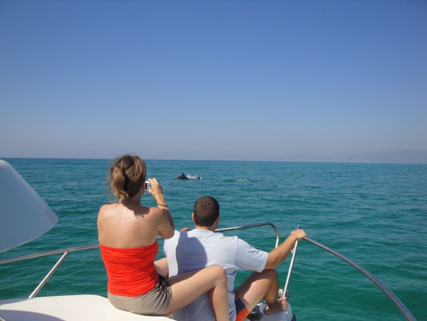 From Sesimbra: Arrábida Dolphin Watching Boat Tour - Common questions