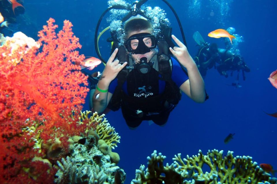 From Sharm: Ras Mohammed Snorkeling Cruise & Optional Diving - Common questions