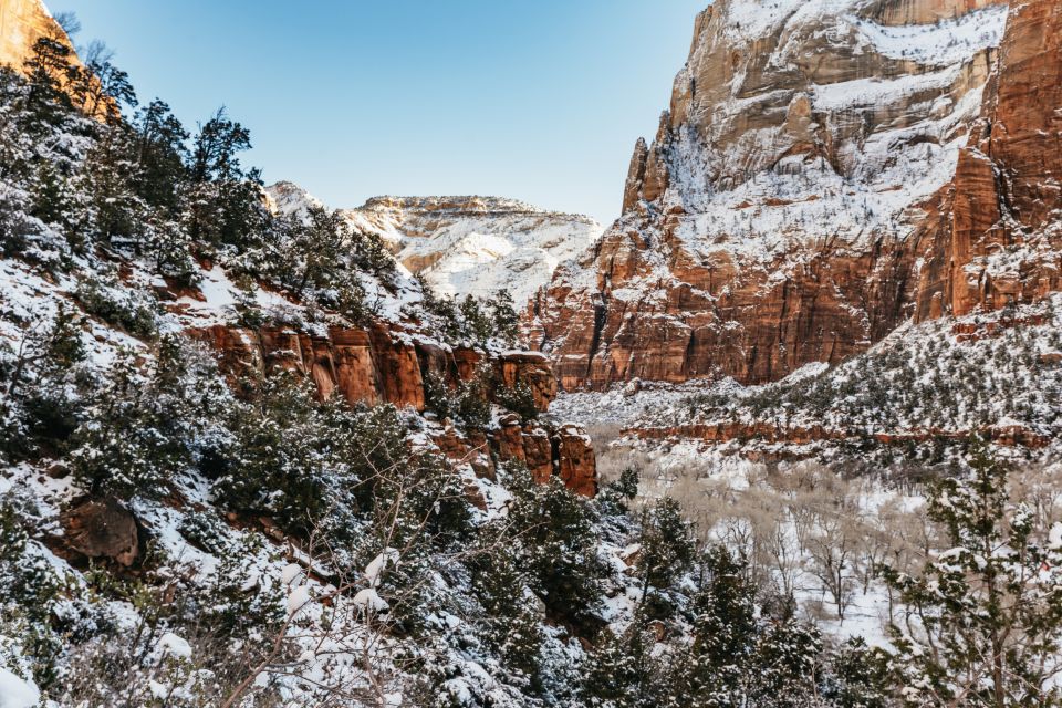 From Springdale: 4-hour Zion Canyon Scenic Hiking Tour - Common questions