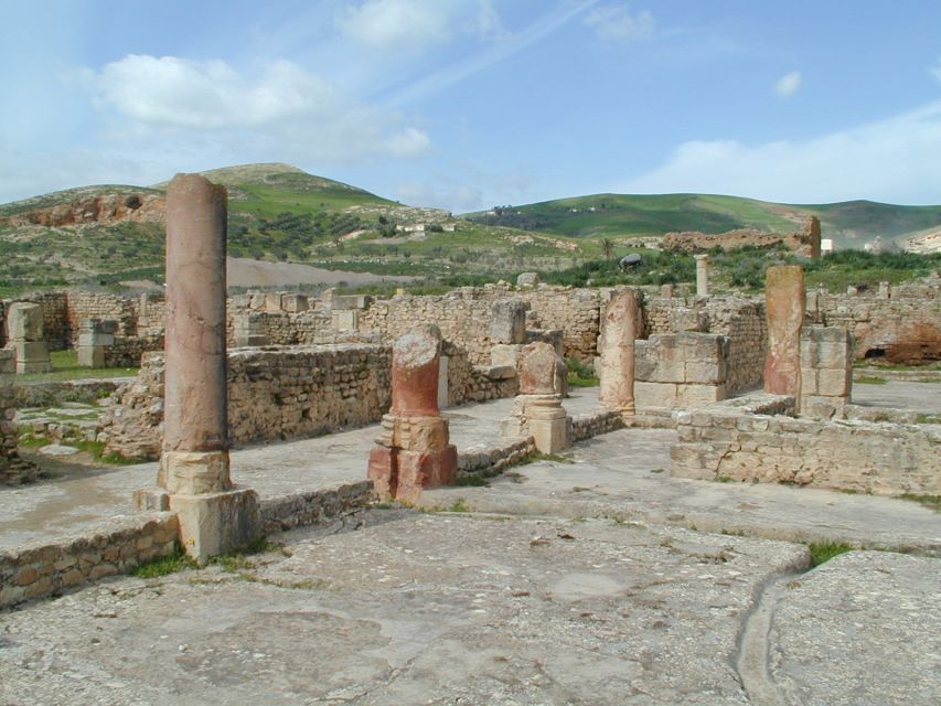 From Tunis: Bulla Regia & Dougga Archaeologial Tour & Lunch