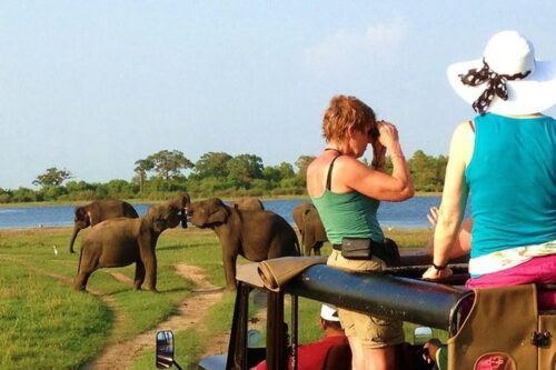 From Udawalawe :-National Park Thrilling Full-Day Safari - Common questions